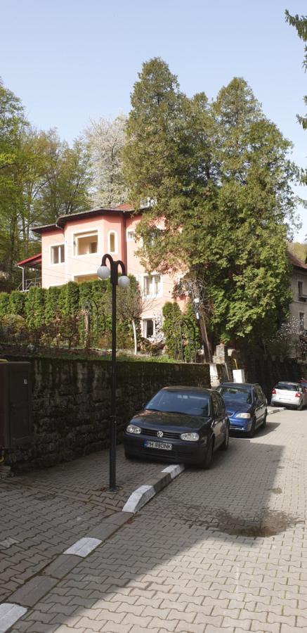 Casa Rosa Hotel Băile Olăneşti Exterior foto