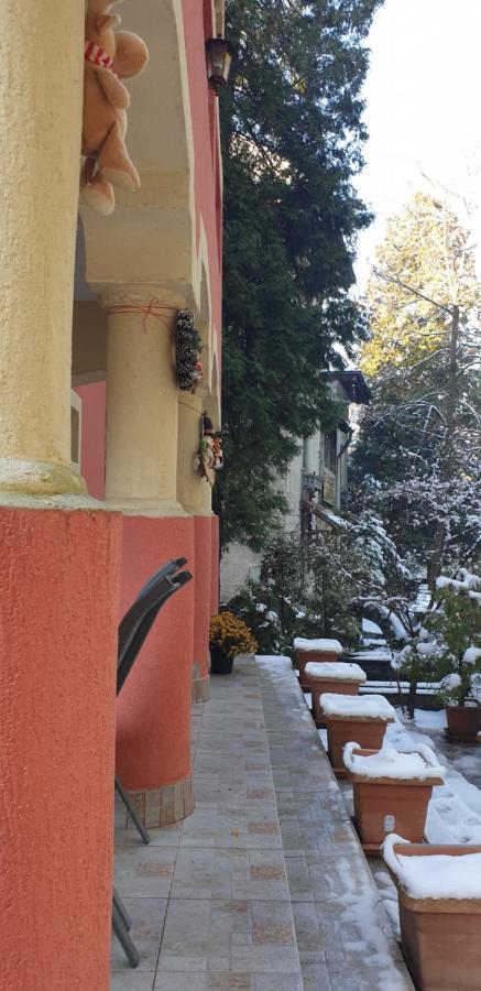 Casa Rosa Hotel Băile Olăneşti Exterior foto