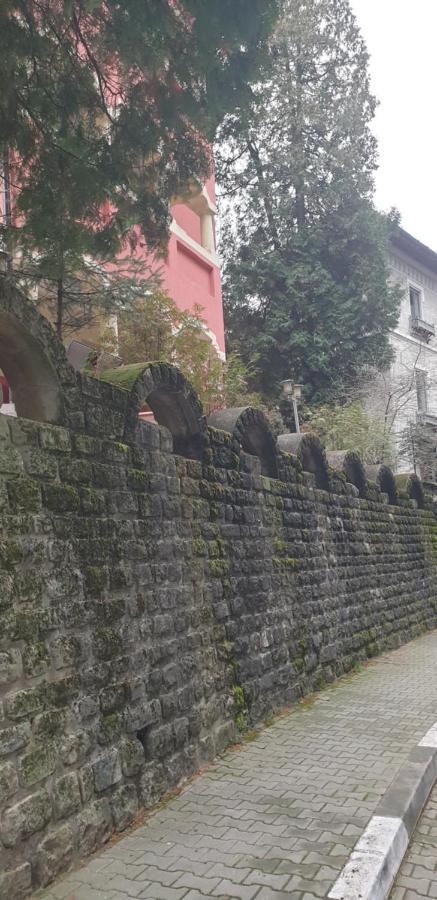 Casa Rosa Hotel Băile Olăneşti Exterior foto