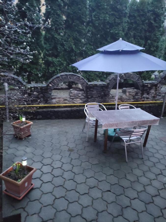 Casa Rosa Hotel Băile Olăneşti Exterior foto
